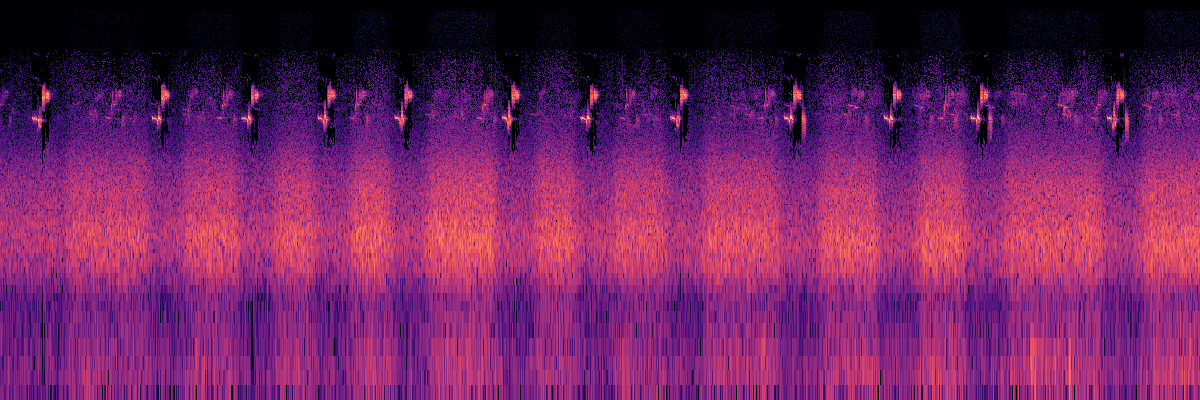 Spectrogram: White-Crowned Sparrow Song With Chorus